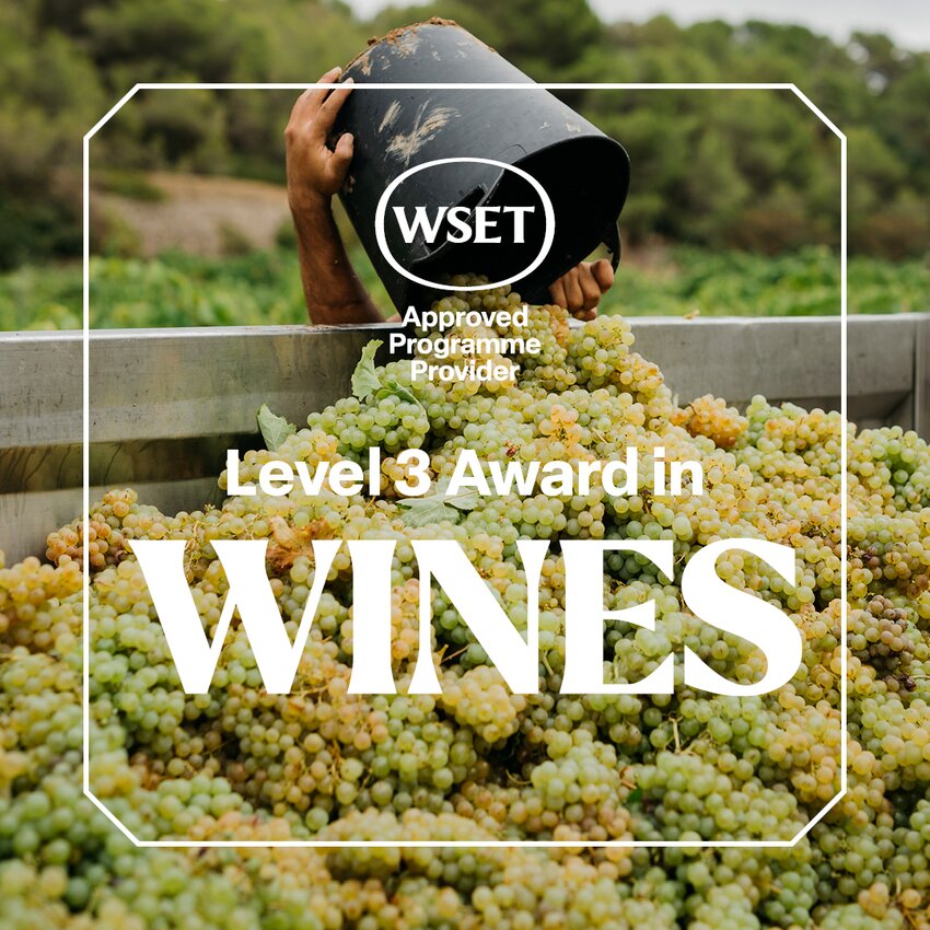 WSET Vin - Niveau 3