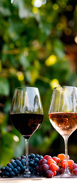 Les secrets des Bordeaux