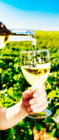 Les vins du Nord