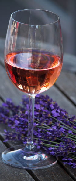 Les vins du Sud